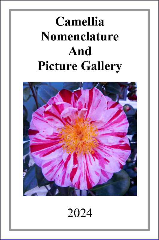 2024 Camellia Nomenclature - Pictures